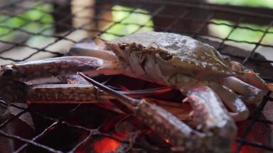 花蟹烧烤传统的炉子泰国海鲜菜单美味的味道泰国街食物菜单燃烧木炭热火焰下面热菜单好野餐时间